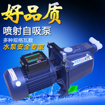 全自动无塔供水器专用泵抽水泵高压桶专用泵增压水塔泵深水井泵