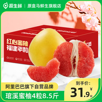 源生鲜福建平和红心柚子琯溪蜜柚新鲜当季水果8.5斤包邮