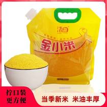 清田小米吃的食用黄小米南和金小米河北邢台特产粥粗粮23年新小米