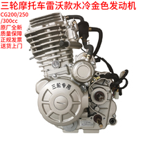 雷沃发动机150200250水冷风冷全新福田三轮车摩托车发动机总成