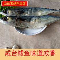 咸台鲅鱼鲅鱼干刀鲅鱼老咸鱼海鲜水产500g包邮