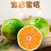 宜昌蜜桔 5斤9斤新鲜水果当季早熟蜜橘酸甜青皮橘非橙子沙糖桔子