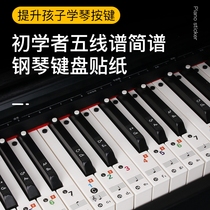 88 61 54键钢琴电子琴键盘贴纸透明贴简谱初学者自学考级五线乐谱