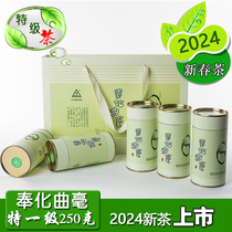 奉化曲毫茶特一级250克宁波茶叶奉化曲毫礼袋装2024春茶新绿茶