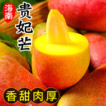 鲜蜂队海南贵妃芒新鲜应季芒果红金龙水果热带芒果5斤水果