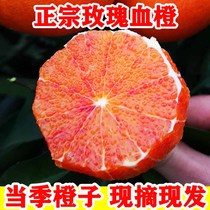 重庆血橙子新鲜水果整箱9斤四川塔罗科当季万州玫瑰香雪脐红心橙