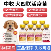 中牧犬四联疫苗宠物狗狗预防狂犬细小犬瘟成犬幼犬一套自打套餐针