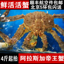 4-10斤阿拉斯加皇帝蟹鲜活帝王蟹海鲜超大霸王蟹大龙虾螃蟹<em>面包蟹</em>