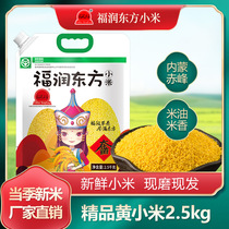 福润东方小米5斤内蒙古赤峰大金苗杂粮米有机黄小米粥小黄米新米