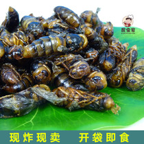 蜂蛹大黑蜂蛹地蜂油炸蜂蛹用昆虫昆虫宴即食美味多种口味可选