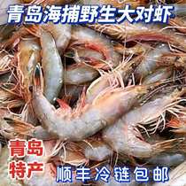 正宗青岛特产野生海捕大对虾中国对虾海产鲜活500克7-8只顺丰包邮