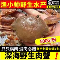 台湾海峡野生梭子蟹新鲜活海鲜青蟹 肉蟹扁蟹花蟹螃蟹海蟹