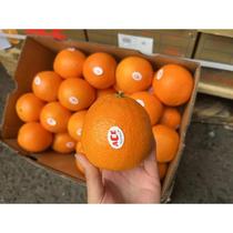 澳洲进口ACE橙子金巴利脐橙新鲜孕妇水果5斤装礼盒榨汁多省包邮