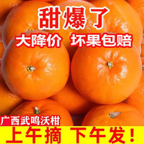 广西武鸣沃柑10斤新鲜水果当季整箱沙糖蜜橘皇帝砂糖柑橘桔子橘子