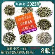 2023年新茶样品组合 政和白茶试喝小样茶白牡丹白毫银针 品鉴装
