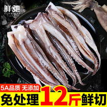 新鲜鱿鱼须鲜活冷冻尤鱼串腿生鲜章鱼二本足海鲜水产铁板鱿鱼商用
