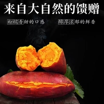 红薯新鲜紫薯广西贺州小香3斤5斤9斤正宗板栗农家自种番薯粉甜糯