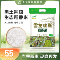 雪龙瑞斯东北稻香米5kg(10斤)大米原粮稻花香2号一级香米粳米