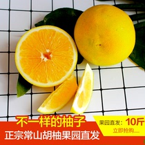 胡柚 现货常山胡柚10斤包邮 甜柚桔 农家自种新鲜水果 葡萄柚西柚