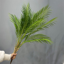 仿真棕榈树热带椰子树叶塑料细叶棕榈树铁树叶假植物装饰插花厥草