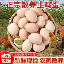 筱诺新鲜农村土鸡蛋20枚 散养自养天然柴鸡蛋笨鸡蛋草鸡蛋40g以上