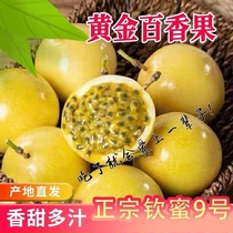 海南黄金百香果当季孕妇水果黄金果新鲜应季钦蜜9号5斤大果新品种
