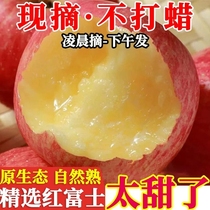爆款陕西红富士苹果新鲜水果脆甜冰糖心应季批发一整箱上门送货