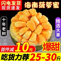 海南菠萝蜜一整个新鲜水果波罗蜜当季特产20-40斤整箱包邮红干苞