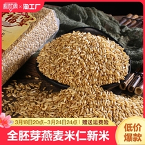 燕麦米全胚芽燕麦粒生裸燕麦<em>莜麦</em>五谷杂粮粗粮500g青麦仁