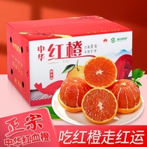 血橙10新鲜水果秭归中华红橙子当季整箱南赣脐红心甜果冻橙正宗
