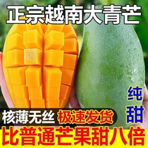 越南青芒10斤新鲜应季水果芒果进口热带孕妇包邮整箱大果特大尝鲜