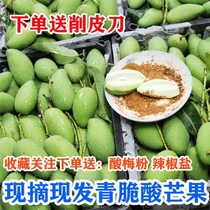 广西青芒果特产生吃酸野新鲜酸脆孕妇腌酸水果象牙芒果1-5斤制