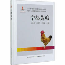 正版H- 宁都黄鸡 中国农业出版社 9787109266056