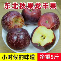 东北龙丰果大秋果5斤装包邮黑龙江特产小苹果海棠果沙果新鲜水果