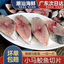 马鲛鱼片深海鱼大鲅鱼潮汕海鲜水产新鲜冷冻1份1斤现切小马胶鱼肉
