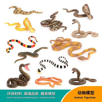 仿真野生动物模型爬行大蟒蛇眼镜蛇玉米蛇儿童静态玩具玩偶摆件