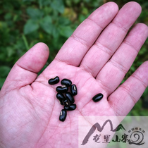 广西马山黑豆新鲜眉豆黑小豆乌缸豆农家特产当季黑饭豆450g*3包