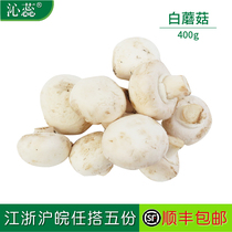 【沁蕊】口蘑 新鲜食用菌 鲜白蘑菇 口菇 双孢菇 400g