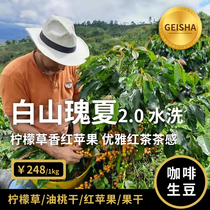 白山瑰夏Gesha 印格24产季哥伦比亚慧兰水洗精品进口咖啡生豆1KG