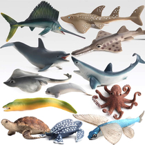 13款海洋动物仿真鲨鱼鳗鱼海豚鳐鱼鱿鱼旗鱼海狗章鱼飞鱼摆件玩具