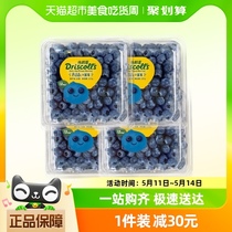 怡颗莓新鲜水果云南蓝莓125g*7盒的大果酸甜口感国产