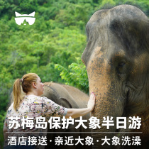 懒猫旅行 泰国苏梅岛一日游 丛大象散步 保护大象 大象泥浆浴