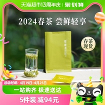 【2024年新茶】竹叶青峨眉高山明前绿茶特级品味45g自饮轻享装