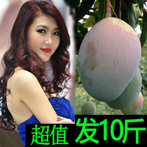 芒果整箱凯特攀枝花包新鲜广西玉青香热带邮应季水果越南5斤10斤