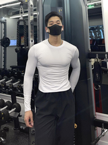 美式纯棉运动t恤男紧身长袖健身训练服跑步篮球肌肉修身全棉体恤