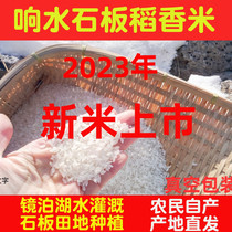 2023年响水大米黑龙江牡丹江石板大米农民自产稻香石板米10斤包邮