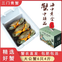 三门青蟹鲜活特大超大螃蟹海鲜水产特产菜鲟肉蟹大公蟹6只4斤礼盒