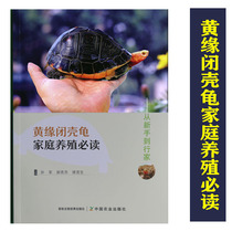 黄缘闭壳龟家庭养殖必读-从新手到行家 黄缘龟安缘龟爱好者基础书