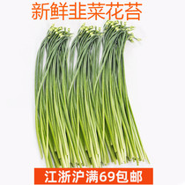 新鲜食用广东韭菜花500g 韭菜苔  口感脆嫩 带杆子青菜蔬菜