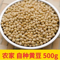连州特产老品种黄豆农家自种打豆浆大豆五谷杂粮煲汤500g